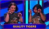 Quality Tigers on Pop Culture Jeopardy!