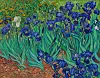 Vincent Van Gogh's painting